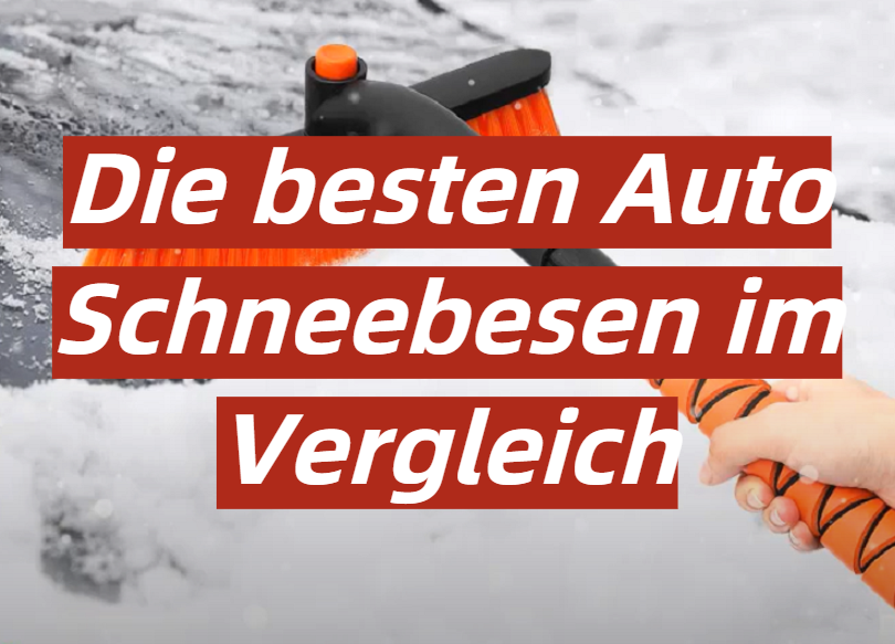 Schneebesen Auto Test